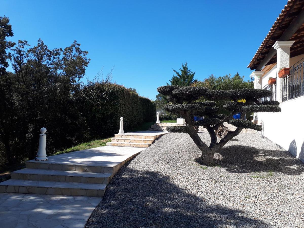 L'Oustaou De L'Estama Bed & Breakfast Rocbaron Bagian luar foto